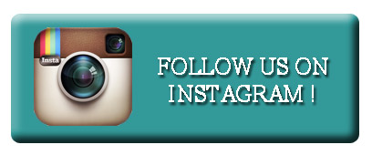 657274-instagram-button-for-stay-in-touch