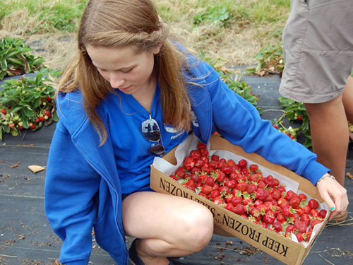 strawberries-girl